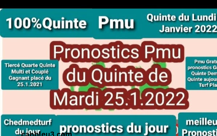 Meilleur Pronostic Pmu Gagnant