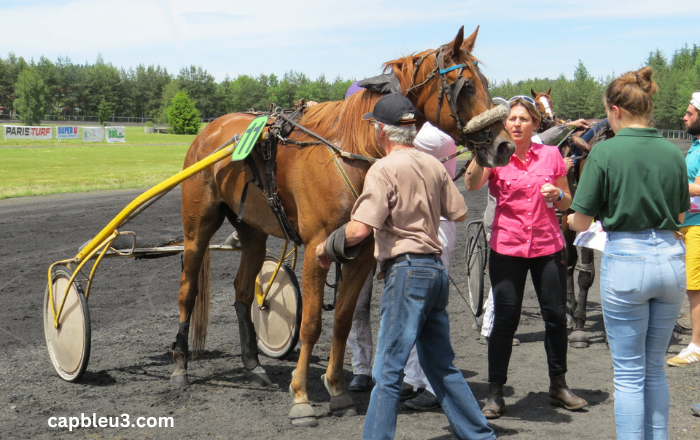 Super Gagnant Turf