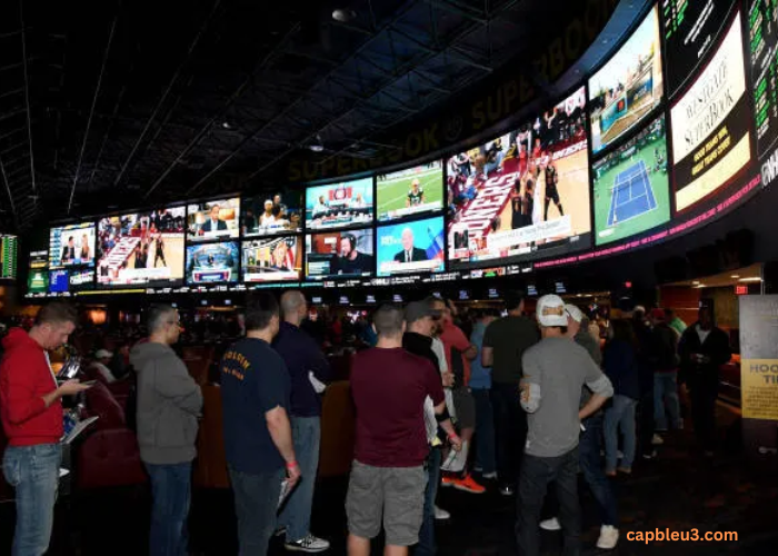 How Does Sports Betting Work?