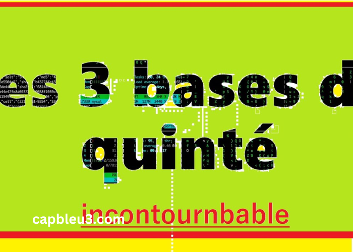 Les 3 Bases