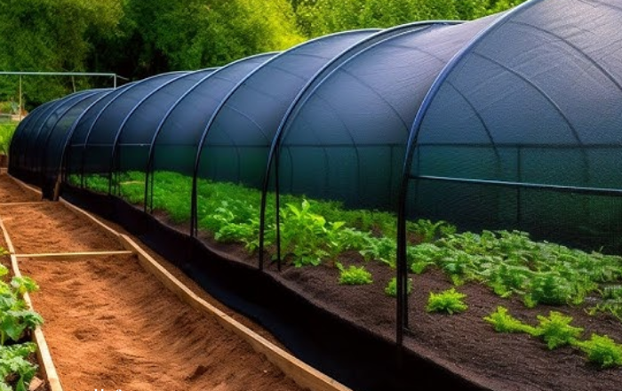 The Benefits Of An Agriculture Shade Net