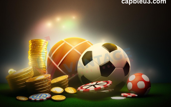 7 Legal Betting Apps in India: