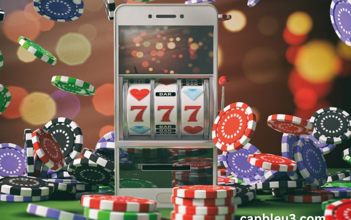 Join the Winner Circle Test Your Skills in Indibet’s Live Poker Tournaments!