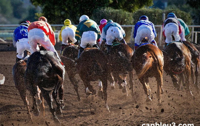 The Art of Hedging: How to Minimize Risk in Horse Racing Betting