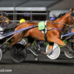 Cheval DE Base Pronola Voyeuse Pmu Du Jour