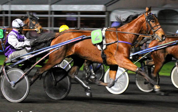 Cheval DE Base Pronola Voyeuse Pmu Du Jour