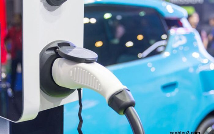 Are Auto Ancillary Stocks the Backbone of India’s EV Revolution?