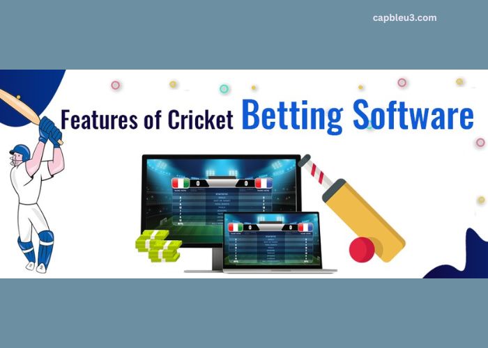 Features of a Reliable Cricket Betting Platform