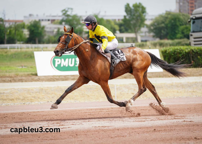 Formule Sur Pmu