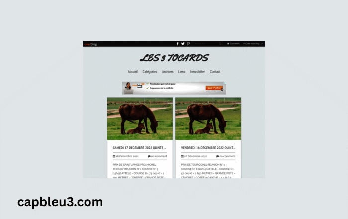 Les Trois Tocards