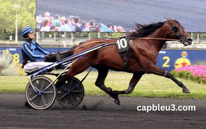 Cci Trio Gagnant