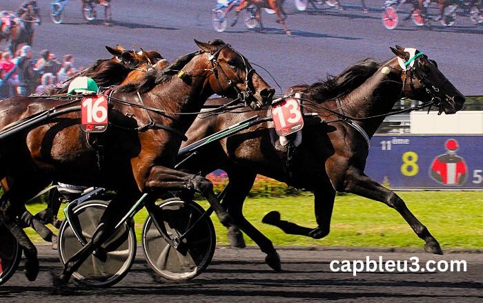Cheval DE Base Prono