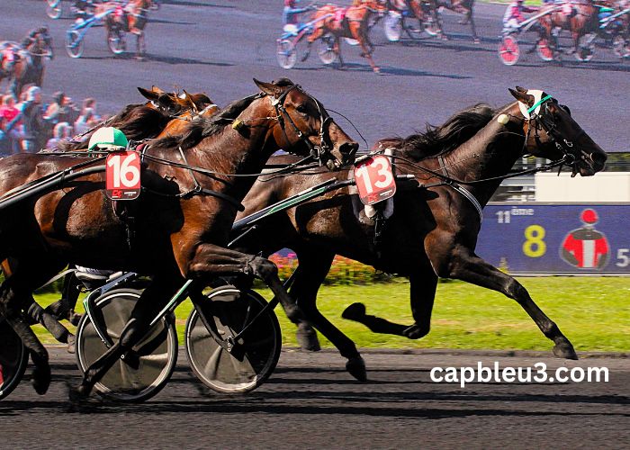 Cheval DE Base Prono