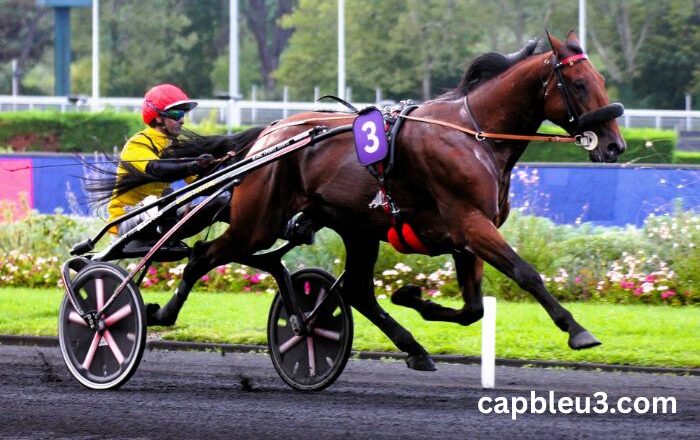 Equidia Du Jour