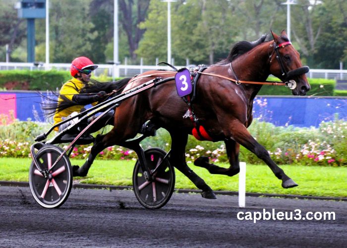 Equidia Du Jour (1)