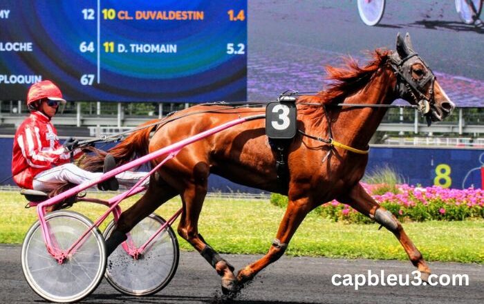 Les 4 Gagnants Vip