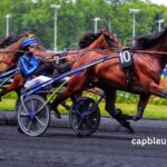 Les Interdits Au Tiercé
