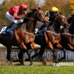 Quinte Gagnant Vip
