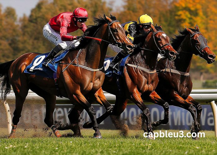 Quinte Gagnant Vip