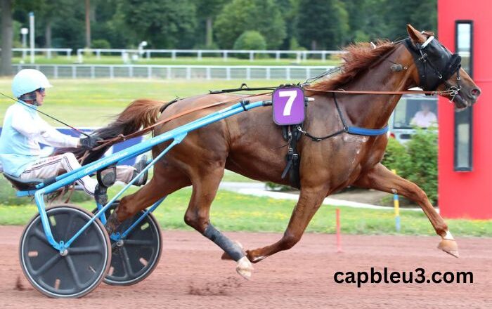 Résultat Quinte Du Jour