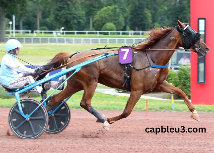 Résultat Quinte Du Jour