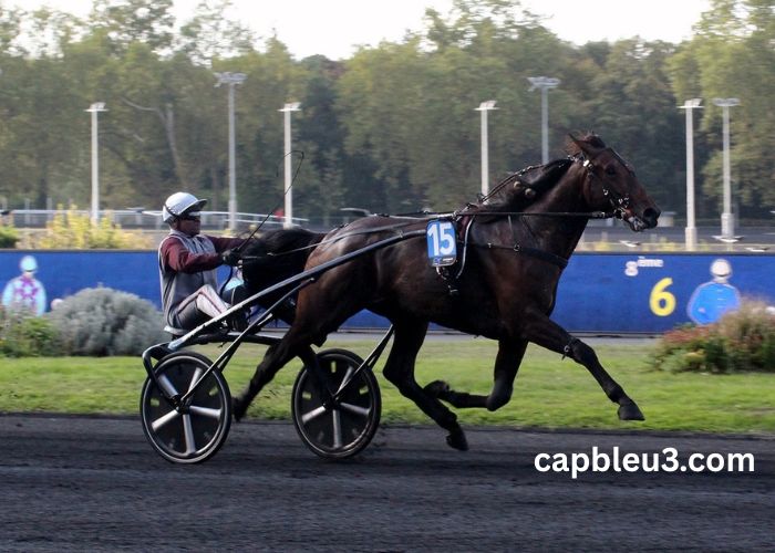 Tierce-Magic Vip (2)