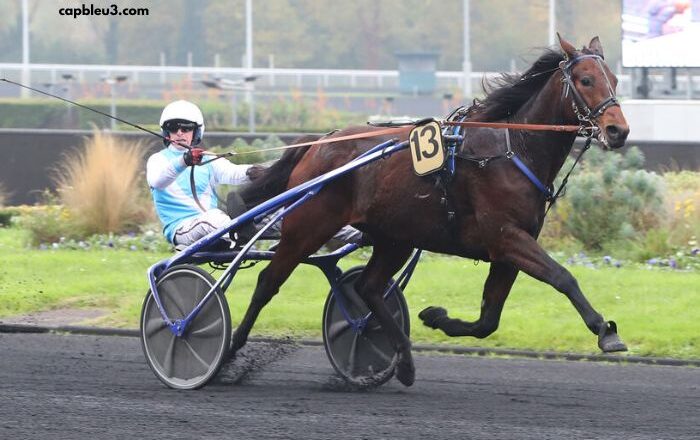 100/100 Ordre Turf