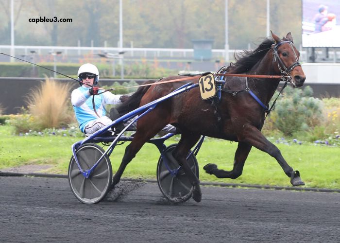 100100 Ordre Turf