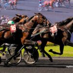 100pour100 Quinteplus