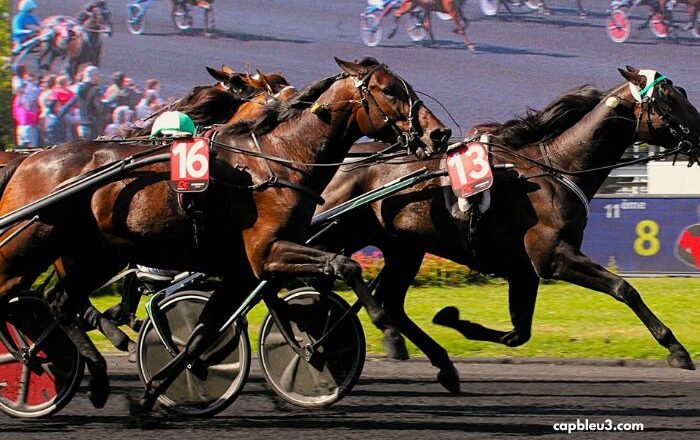 100pour100 Quinteplus
