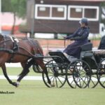 LA Richesse Turf Vip