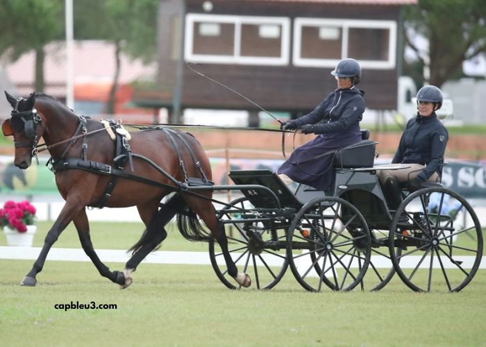 LA Richesse Turf Vip