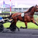 Lingodor Turf 2019