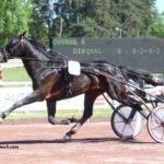 Nanouturf 100 100 Gagnant