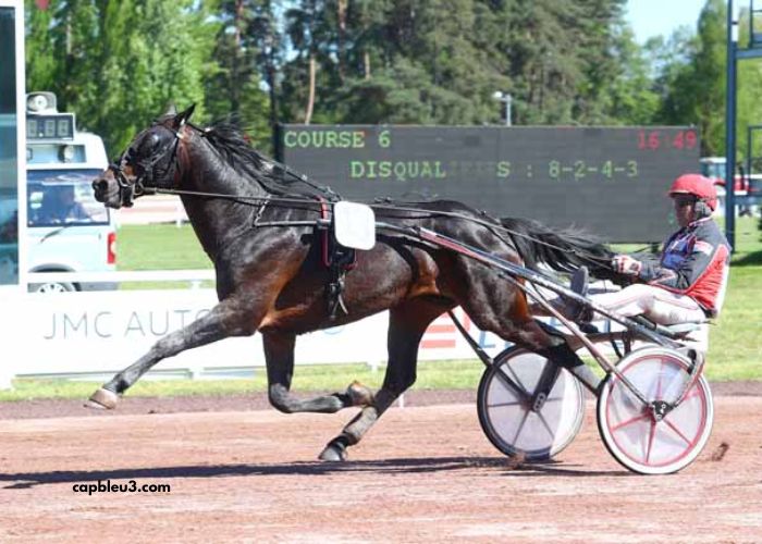 Nanouturf 100 100 Gagnant