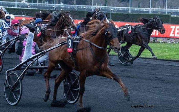 Paris Promise Turf