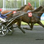 Trio 3 Chevaux