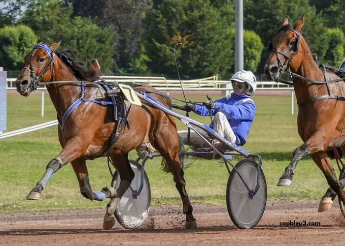 Jpgturf Vip Gratuit